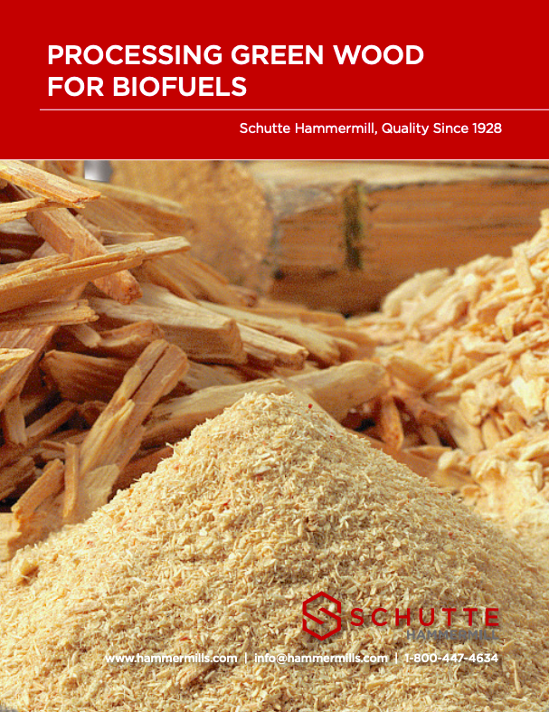 Processing green wood for biofuel