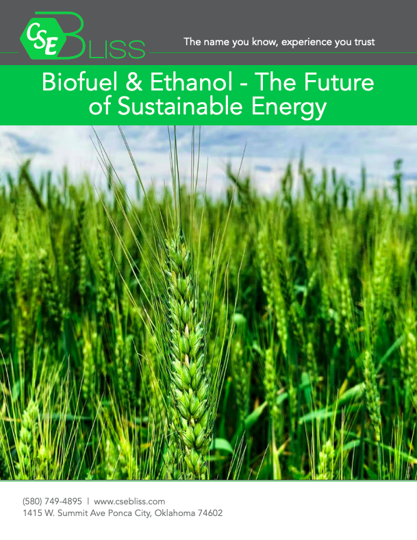 Biofuel & ethanol - the future of sustainable energy