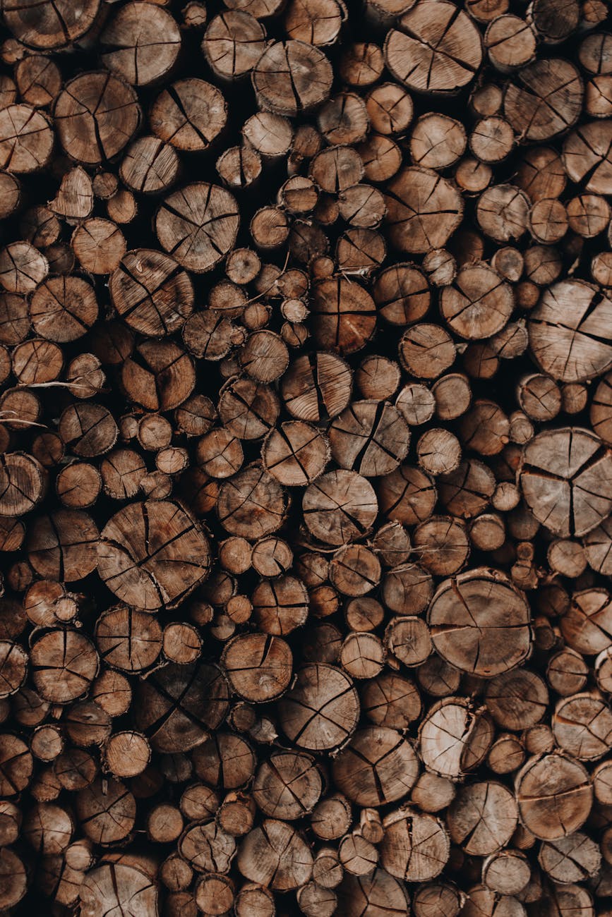 woods stacked together
