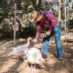 farmer feeding his birds